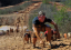 Picture of Endurance Event w/file upload guid - copy